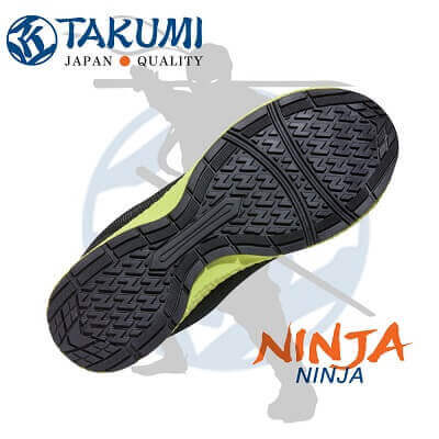 Ninja Main 1 400x400 1