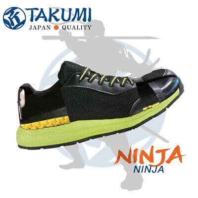 Ninja Main 2 400x400 1