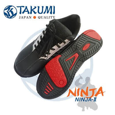 Ninja2 Main 2x400x400