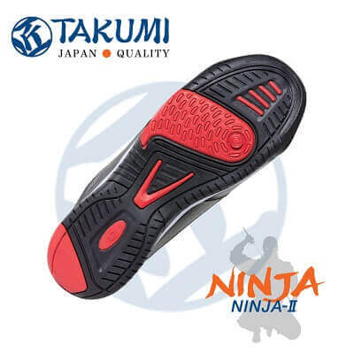 Ninja2 Main 3x400x400